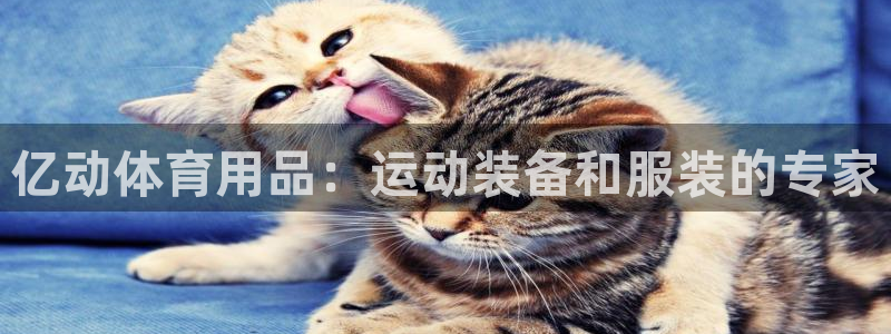 欧陆娱乐平台登录不上怎么办：亿动体育用品：运动装备和