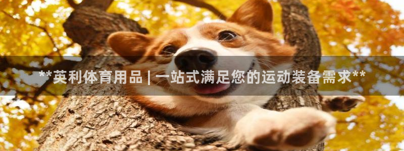 欧陆娱乐客服电话人工服务：**英利体育用品 | 一站