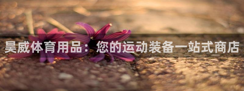 欧陆娱乐太阳：昊威体育用品：您的运动装备一站式商店