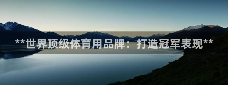 欧陆娱乐登陆平台有哪些：**世界顶级体育用品牌：打造