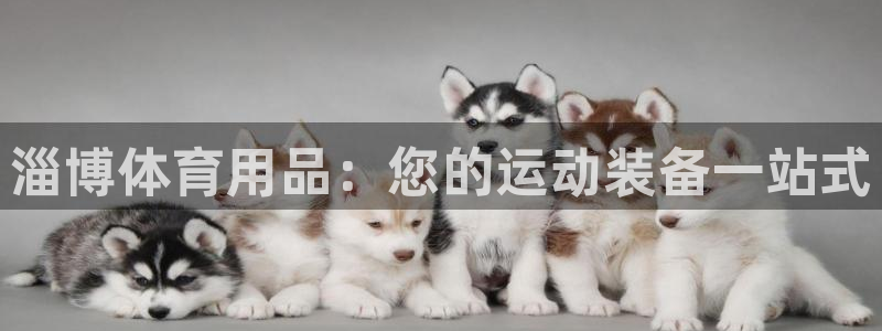 欧陆娱乐测速网站：淄博体育用品：您的运动装备一站式