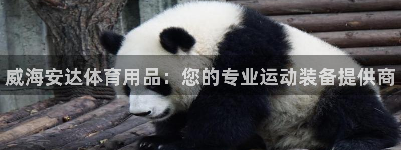 欧陆娱乐公司产品介绍图片：威海安达体育用品：您的专业