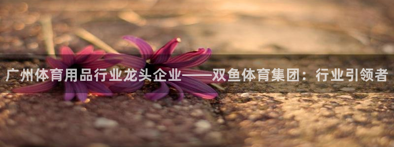 欧陆娱乐太阳：广州体育用品行业龙头企业——双鱼体育集