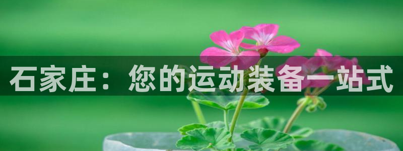 欧陆娱乐是正规平台吗安全吗可信吗是真的吗：石家庄：您