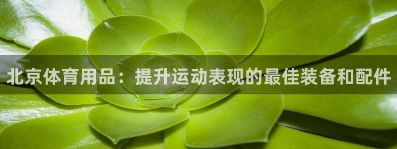 欧陆娱乐登陆官网入口：北京体育用品：提升运动表现的最