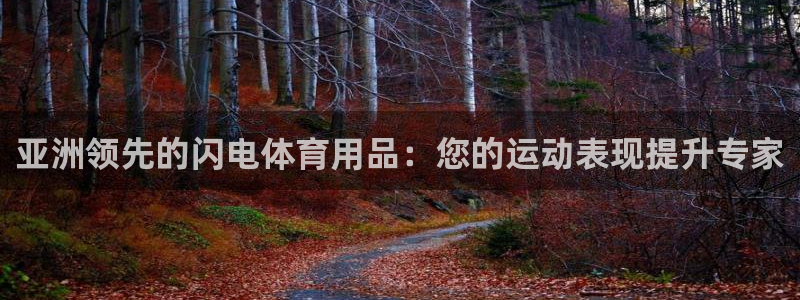 欧陆娱乐公司产品介绍图片：亚洲领先的闪电体育用品：您