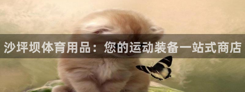 欧陆娱乐客服电话人工服务：沙坪坝体育用品：您的运动装