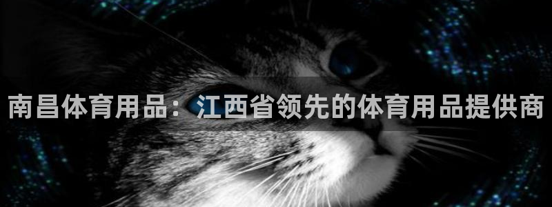 欧陆娱乐官网下载安装手机版：南昌体育用品：江西省领先