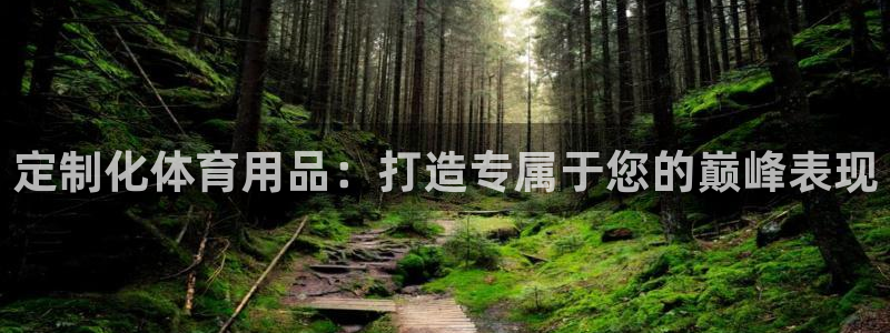欧陆娱乐登陆官网入口：定制化体育用品：打造专属于您的