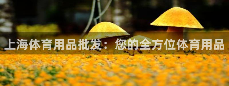 欧陆娱乐可以退钱：上海体育用品批发：您的全方位体育用