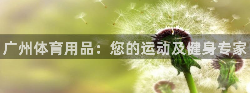 欧陆娱乐平台官网入口：广州体育用品：您的运动及健身专