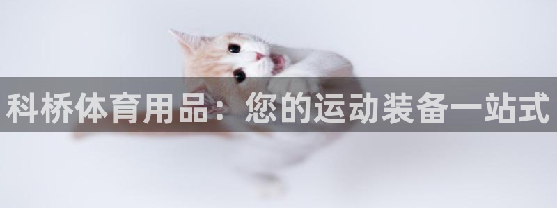 欧陆娱乐平台登陆地址是什么：科桥体育用品：您的运动装