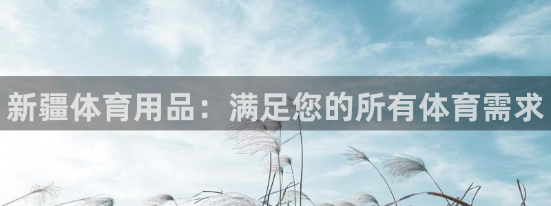 欧陆娱乐官网下载安装：新疆体育用品：满足您的所有体育