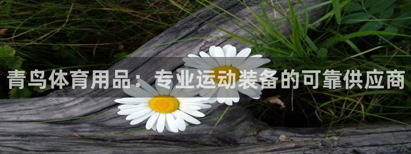 欧陆娱乐官网网址是多少：青鸟体育用品：专业运动装备的