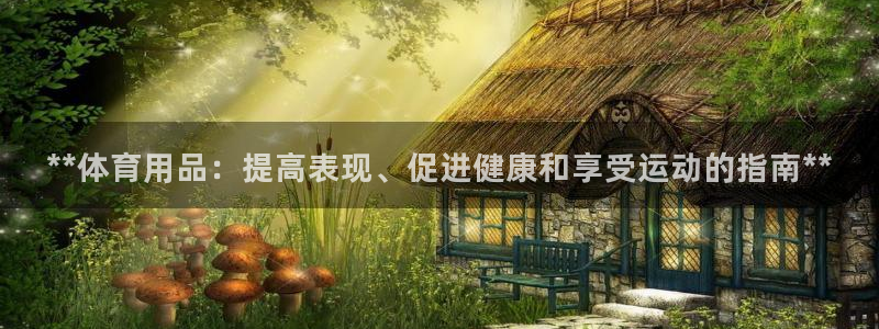 欧陆娱乐官网首页入口：**体育用品：提高表现、促进健