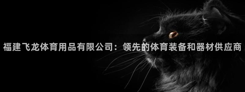 欧陆娱乐登录平台：福建飞龙体育用品有限公司：领先的体