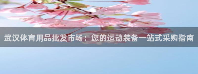 重庆欧陆娱乐有限公司电话：武汉体育用品批发市场：您的