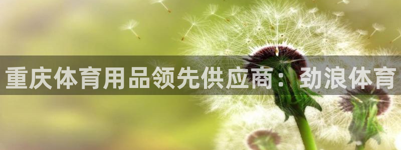 欧陆娱乐怎么注册账号啊：重庆体育用品领先供应商：劲浪