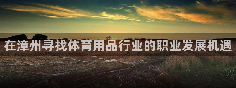 欧陆娱乐公司产品介绍图片：在漳州寻找体育用品行业的职