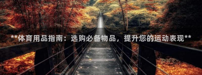 欧陆娱乐提现两百万：**体育用品指南：选购必备物品，