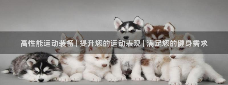 欧陆娱乐平台登陆地址是什么：高性能运动装备 | 提升