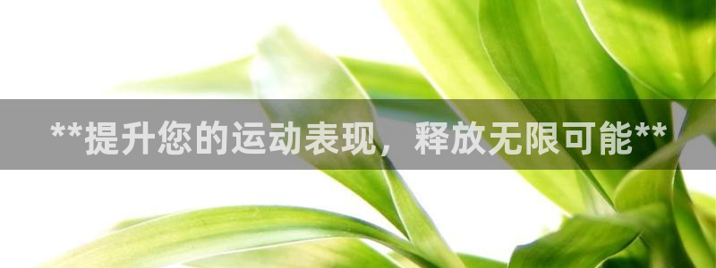 欧陆娱乐测试网站：**提升您的运动表现，释放无限可能