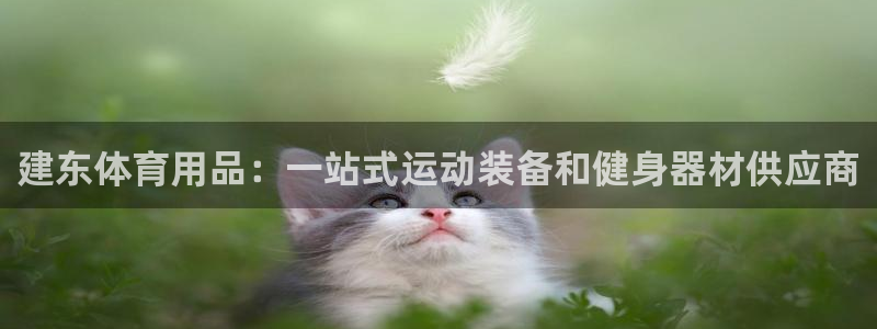欧陆娱乐平台咋样赚钱的：建东体育用品：一站式运动装备
