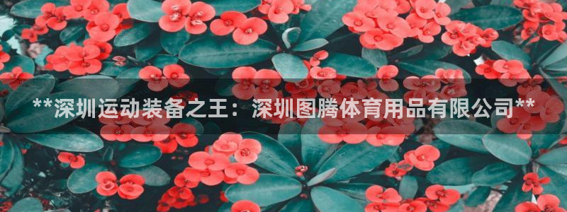 欧陆娱乐是正规平台吗安全吗可信吗知乎：**深圳运动装