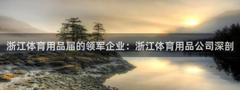 欧陆娱乐官方网站入口：浙江体育用品届的领军企业：浙江