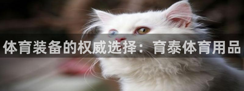 欧陆娱乐官网下载安装最新版本：体育装备的权威选择：育