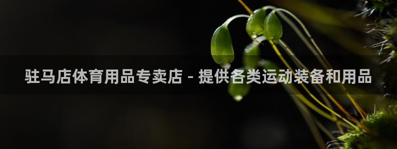欧陆娱乐不让提现吗：驻马店体育用品专卖店 - 提供各