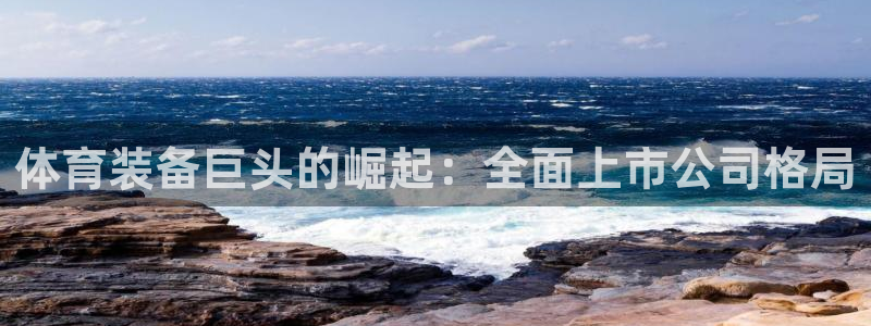 欧陆娱乐登录平台官网：体育装备巨头的崛起：全面上市公