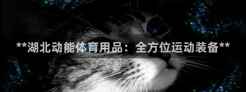 欧陆娱乐官网网址是多少：**湖北动能体育用品：全方位