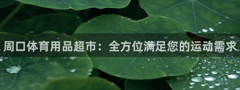 欧陆娱乐平台优势：周口体育用品超市：全方位满足您的运