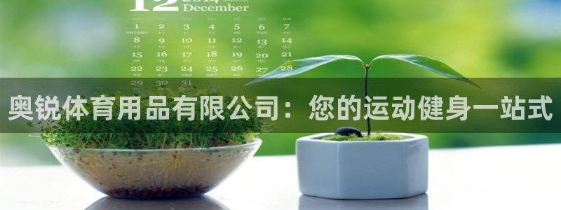 欧陆娱乐能提现嘛安全吗：奥锐体育用品有限公司：您的运