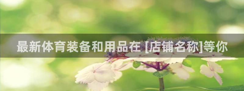 欧陆娱乐登录平台：最新体育装备和用品在 [店铺名称]