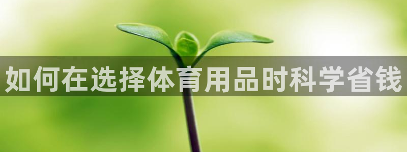欧陆娱乐代理多少个点位合适：如何在选择体育用品时科学