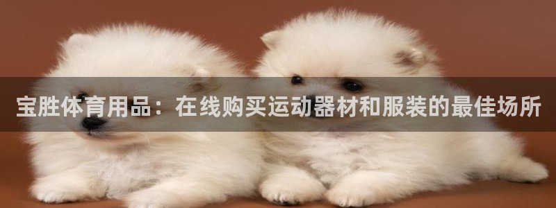 欧陆娱乐app打不开怎么回事视频：宝胜体育用品：在线