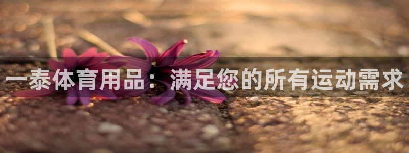 欧陆娱乐是正规平台吗安全吗知乎推荐：一泰体育用品：满