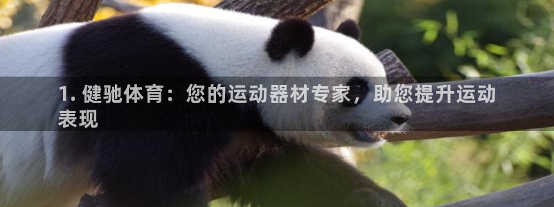 欧陆娱乐挂机怎么玩：1. 健驰体育：您的运动器材专家