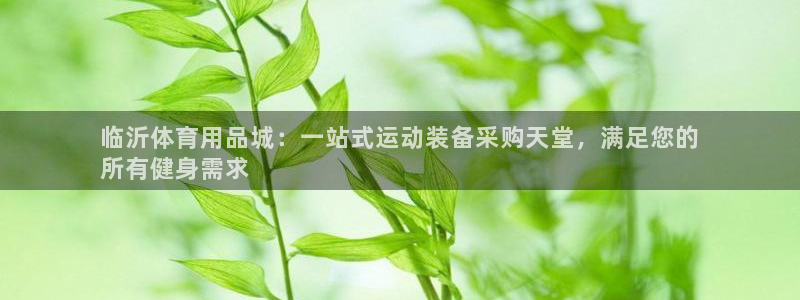 欧陆娱乐登录注册平台：临沂体育用品城：一站式运动装备