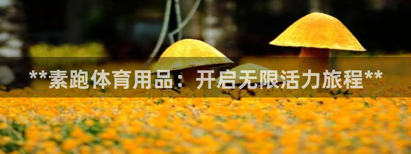 欧陆娱乐挂机项目：**素跑体育用品：开启无限活力旅程