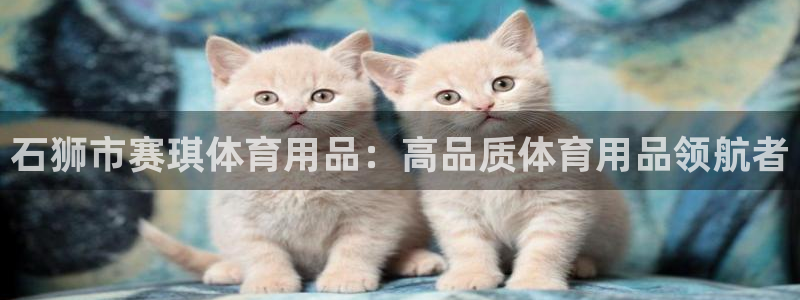 欧陆娱乐平台优势：石狮市赛琪体育用品：高品质体育用品
