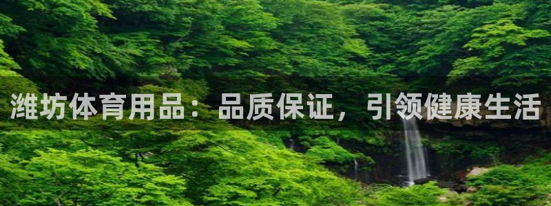 欧陆娱乐平台登陆地址在哪：潍坊体育用品：品质保证，引