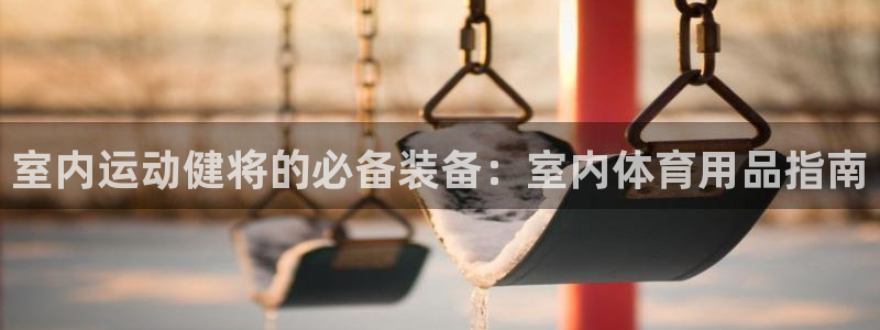 欧陆娱乐app攻略大全：室内运动健将的必备装备：室内