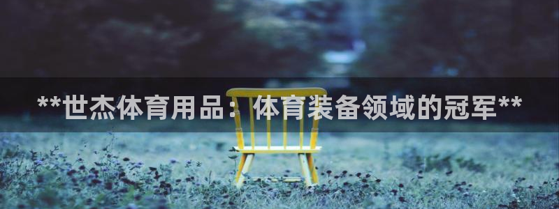 欧陆娱乐官网注册中心：**世杰体育用品：体育装备领域