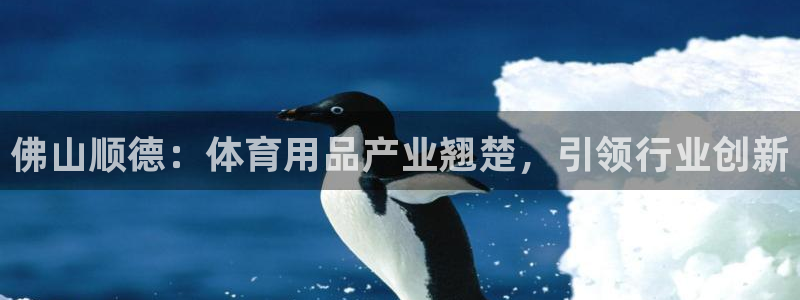 欧陆娱乐合法吗：佛山顺德：体育用品产业翘楚，引领行业