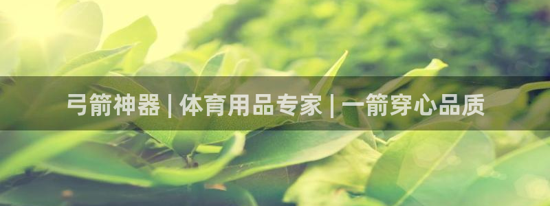 欧陆娱乐是真的吗：弓箭神器 | 体育用品专家 | 一