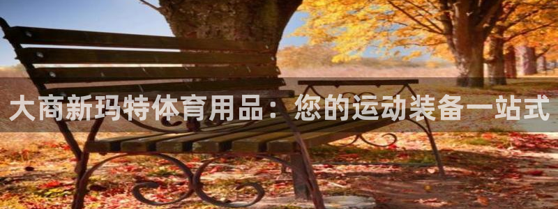 欧陆娱乐天富主管：大商新玛特体育用品：您的运动装备一