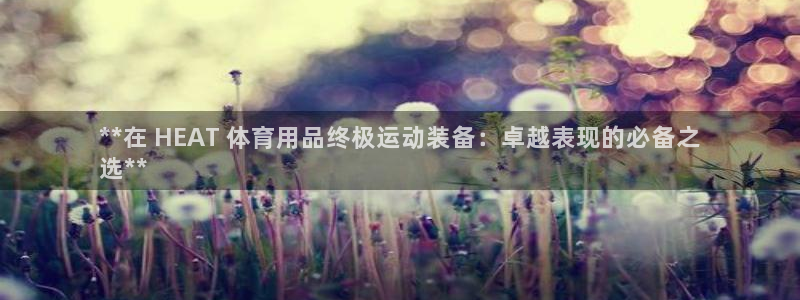 欧陆娱乐平台咋样赚钱：**在 HEAT 体育用品终极